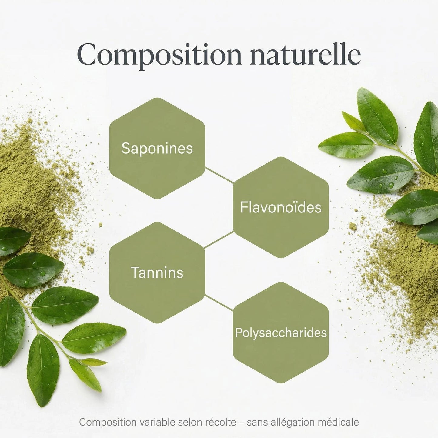Poudre de Sidr à la composition naturelle – feuilles de jujubier moulues pour usage externe
