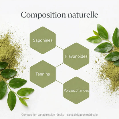 Poudre de Sidr à la composition naturelle – feuilles de jujubier moulues pour usage externe
