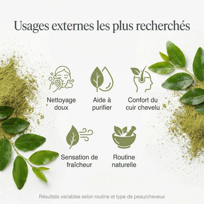 Poudre de Sidr – usages externes les plus recherchés pour cheveux et peau